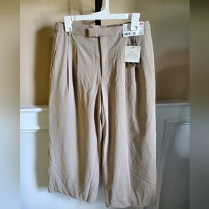 Uniqulo pants